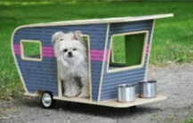 dog house