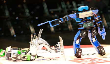 judobots